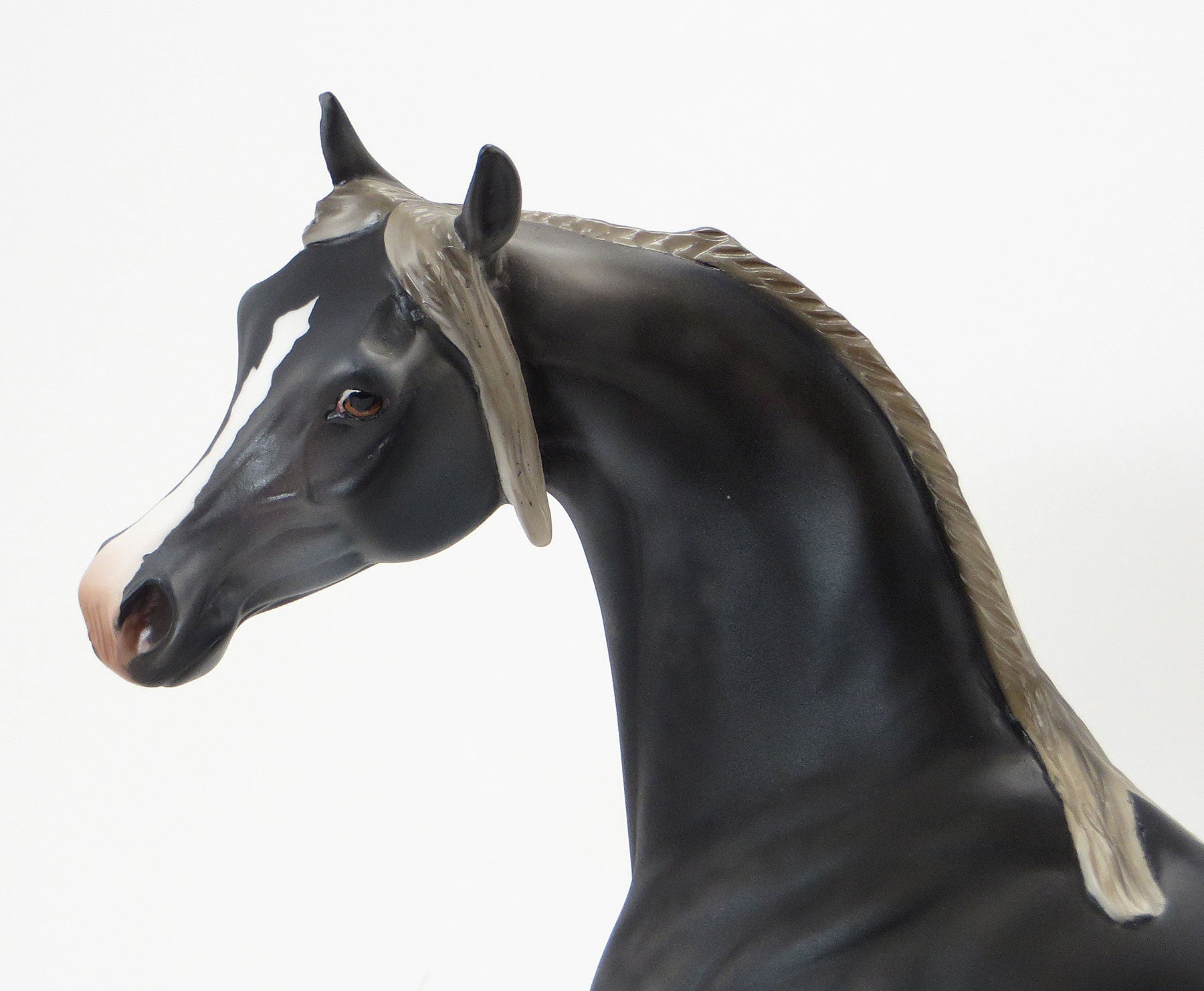 TEE JAY MAX -EQ 2015  LE15 Dark Dapple Grey Arabian 7/23