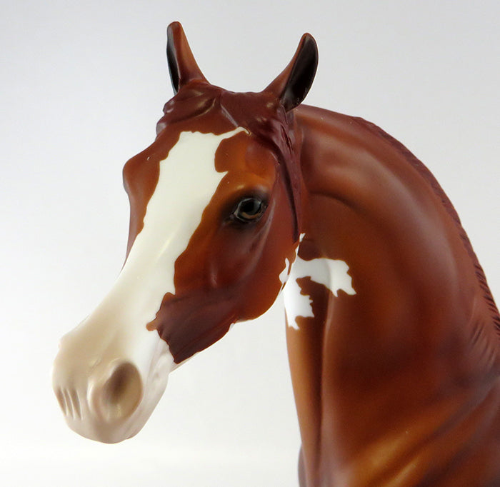 MASTERMIND-LE-6 CHESTNUT PAINTED ARABIAN MODEL HORSE 9/30