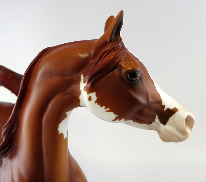 MASTERMIND-LE-6 CHESTNUT PAINTED ARABIAN MODEL HORSE 9/30