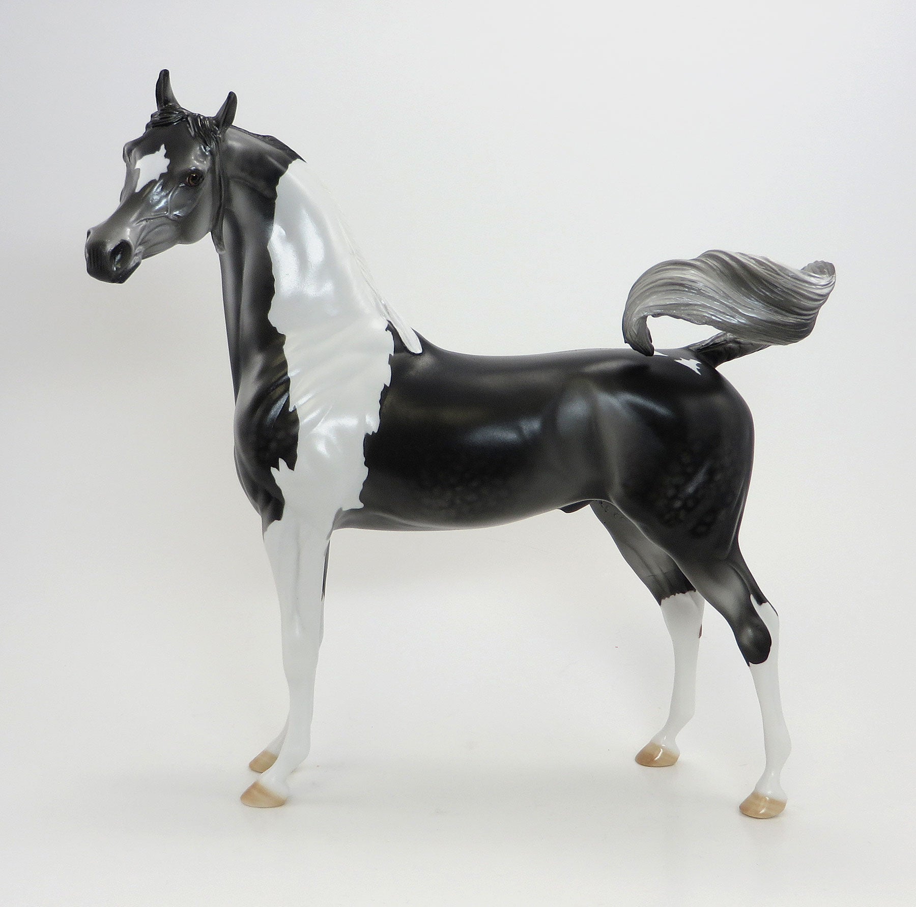 SHOOTIN' IRON - 2015 EQ Dark Dapple Grey Pinto Arabian - LE15 - 7/23