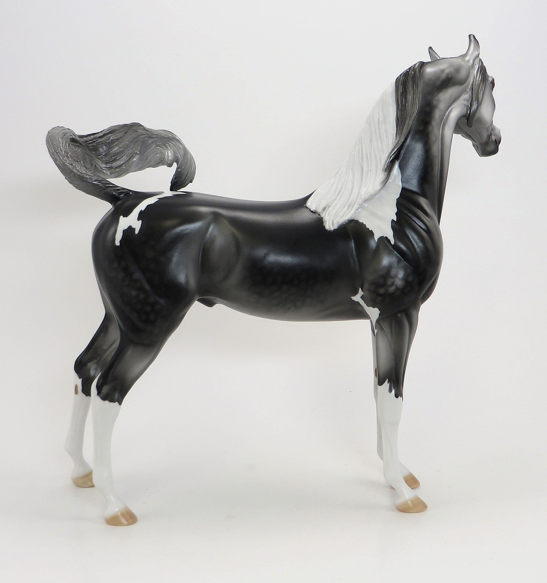 SHOOTIN&#39; IRON - 2015 EQ Dark Dapple Grey Pinto Arabian - LE15 - 7/23