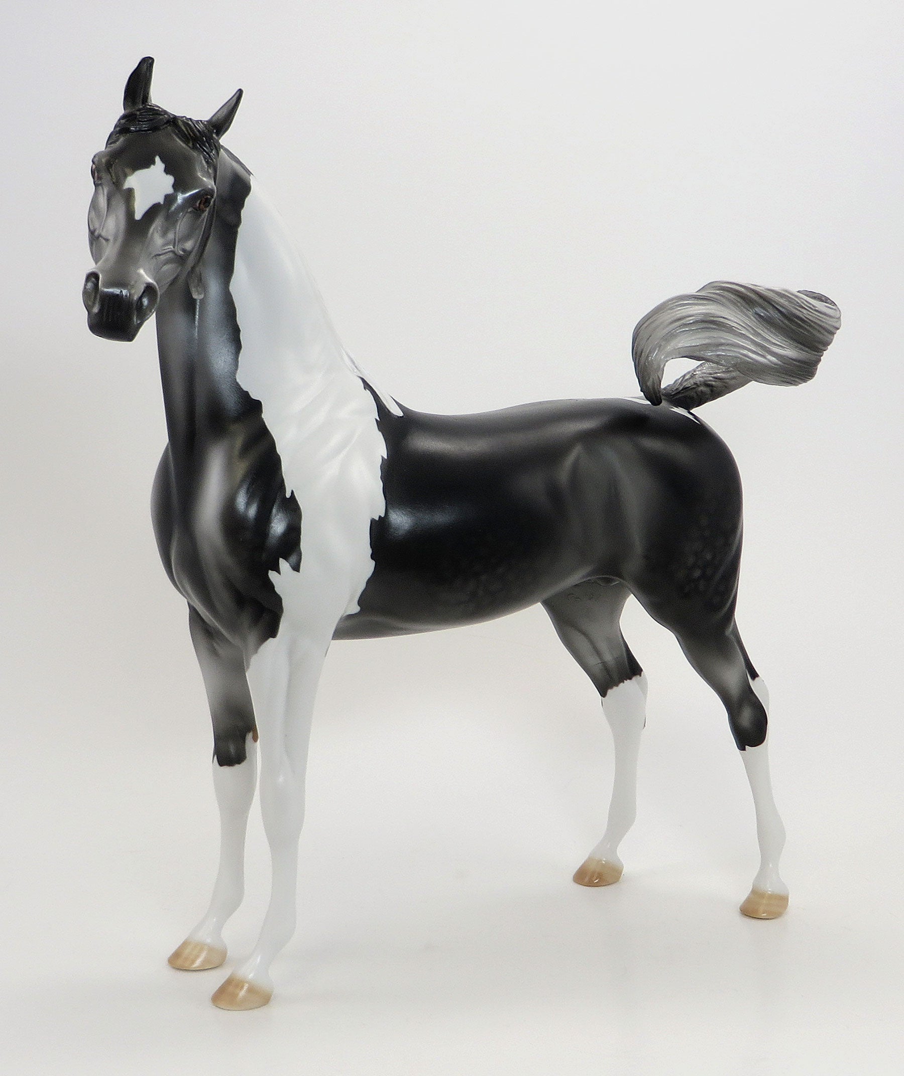 SHOOTIN&#39; IRON - 2015 EQ Dark Dapple Grey Pinto Arabian - LE15 - 7/23