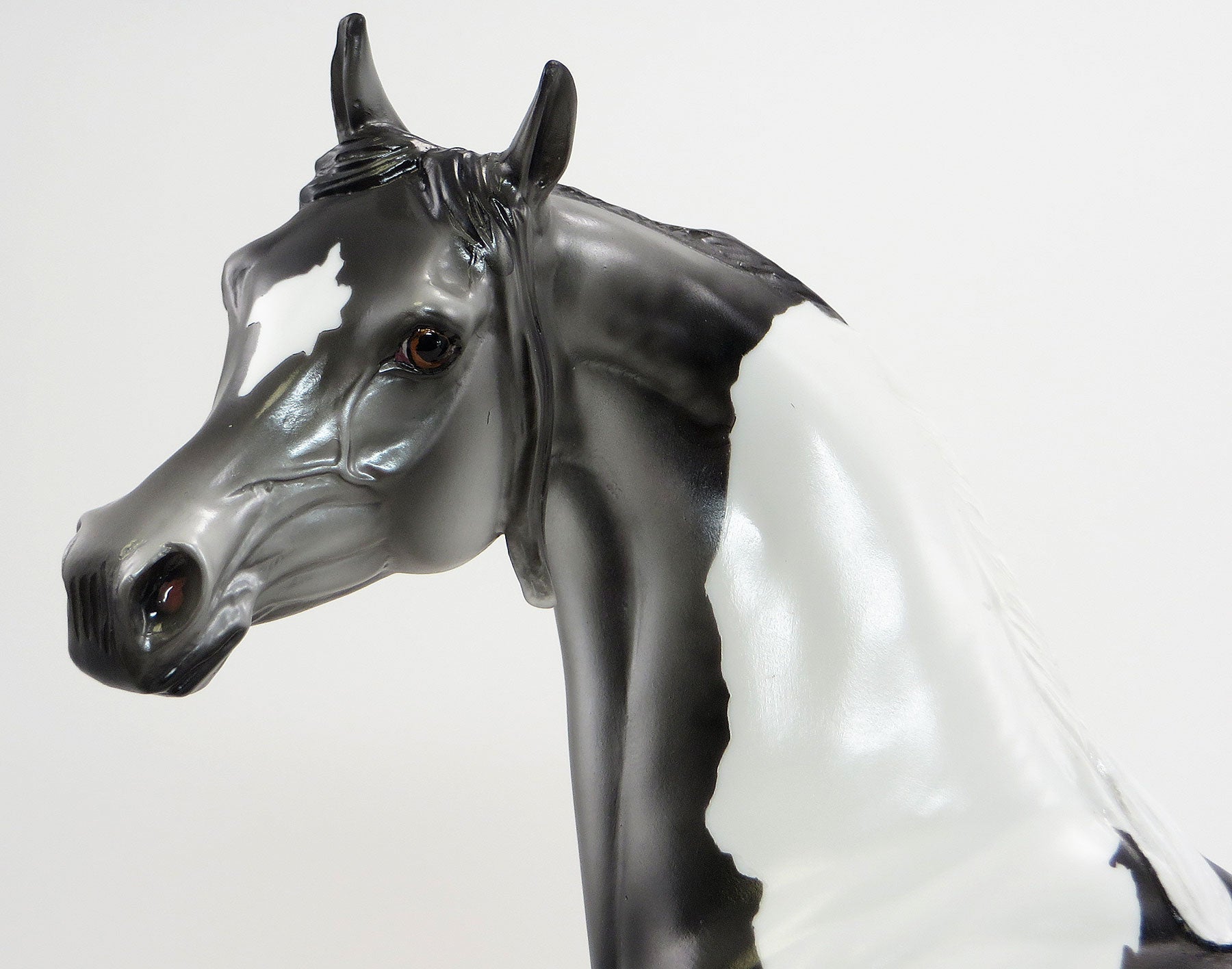 SHOOTIN&#39; IRON - 2015 EQ Dark Dapple Grey Pinto Arabian - LE15 - 7/23