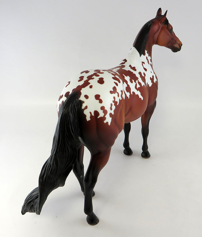 Appaloosa