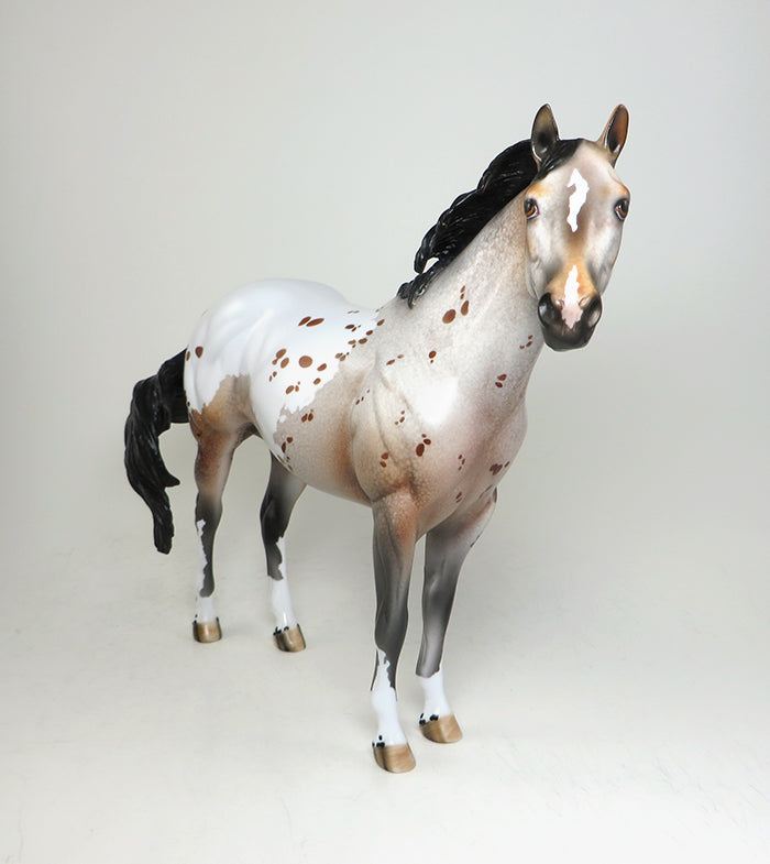 appaloosa peter stone nobody's fool