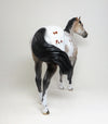 one of kind appaloosa nobody&#39;s fool