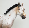 peter stone appaloosa nobody&#39;s fool 