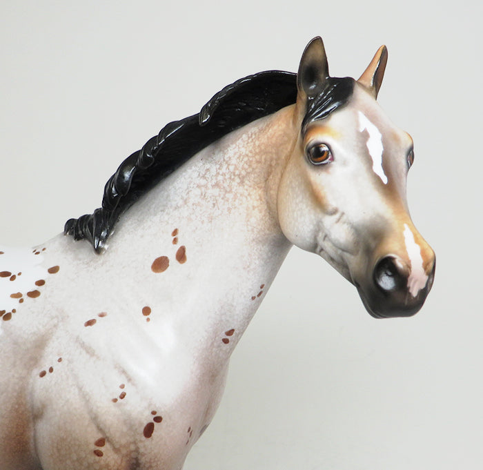 peter stone appaloosa nobody's fool 