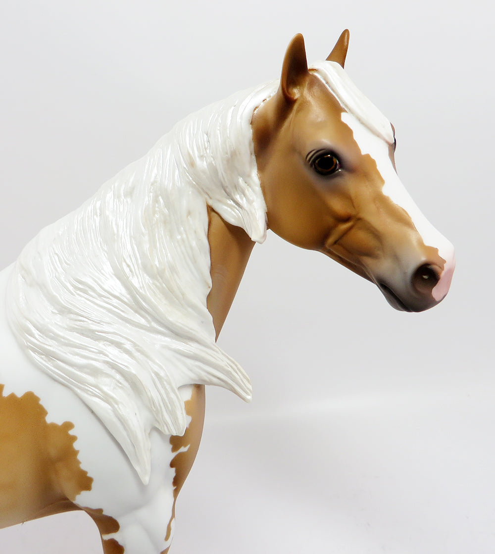 OISIN~OOAK DAPPLE PALOMINO PINTO ISH MODEL  HORSE 3/10