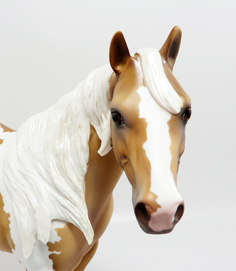 OISIN~OOAK DAPPLE PALOMINO PINTO ISH MODEL  HORSE 3/10