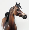 one of a kind foolish love bay paint arabian