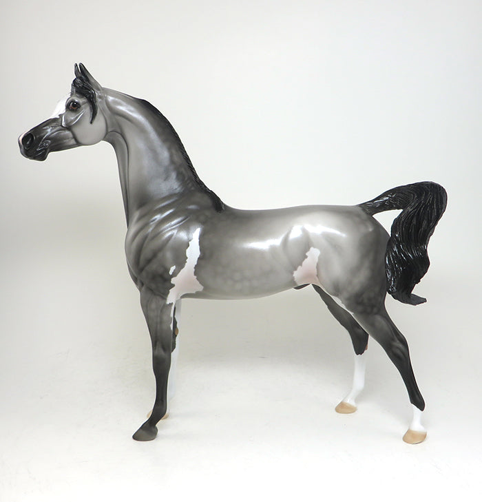 audacious dapple grey paint peter stone