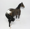 Stock Horse 