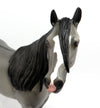 Long Forelock