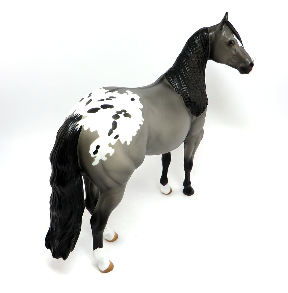 Appaloosa