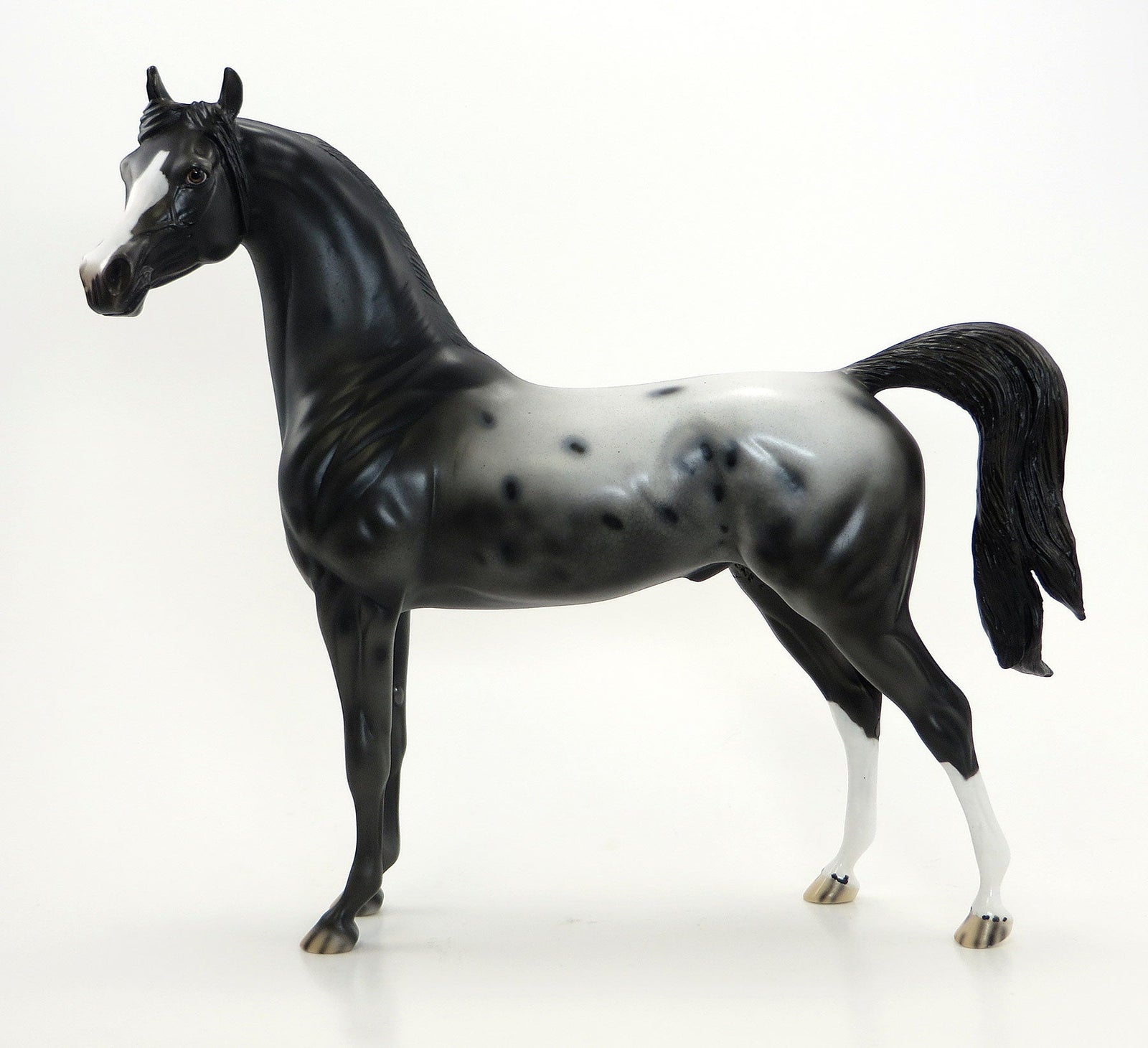 RINGLING BROTHERS - OOAK Dark Appaloosa Arabian Model Horse -  6/26