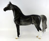 Morgan Horse