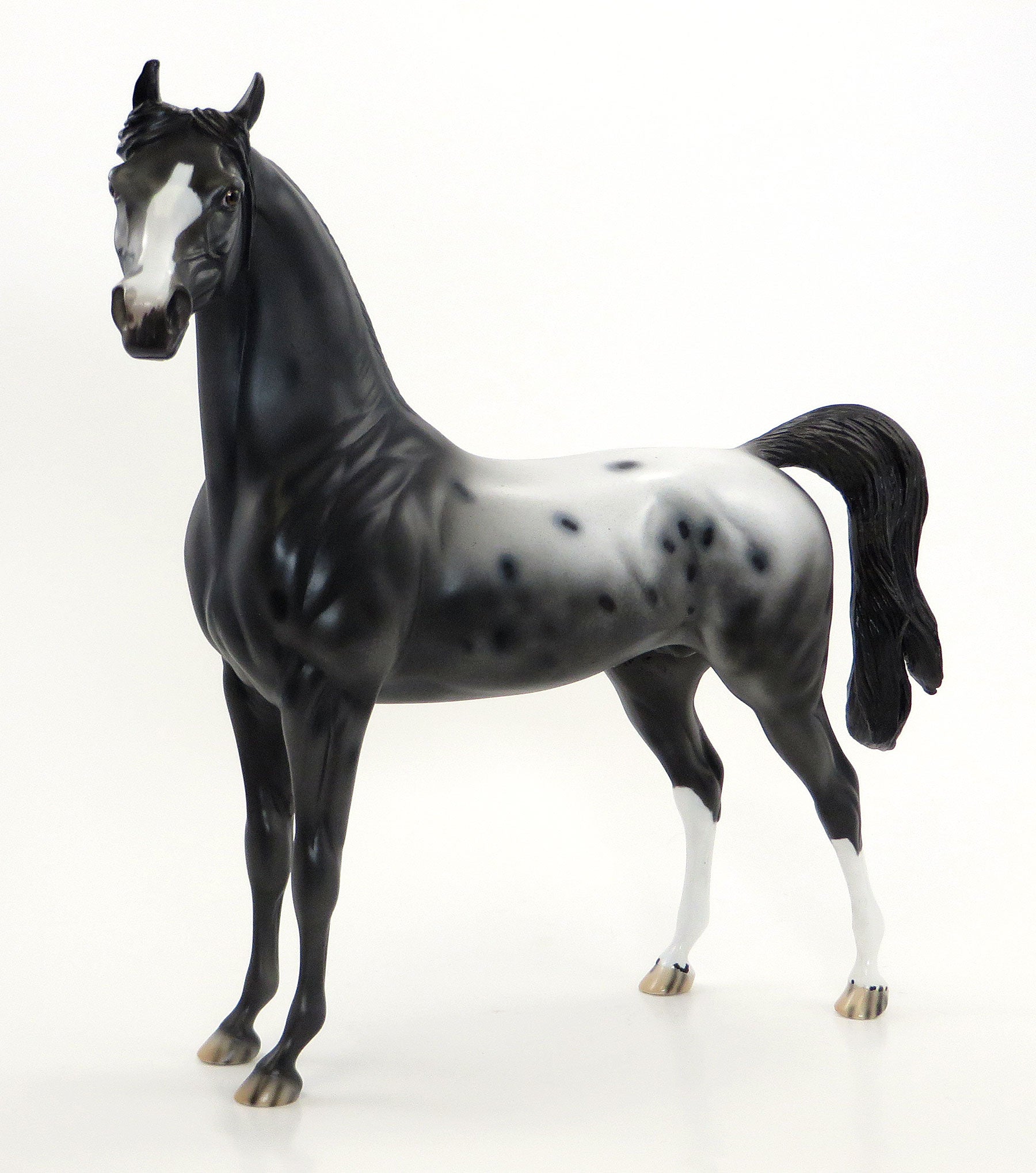 RINGLING BROTHERS - OOAK Dark Appaloosa Arabian Model Horse -  6/26