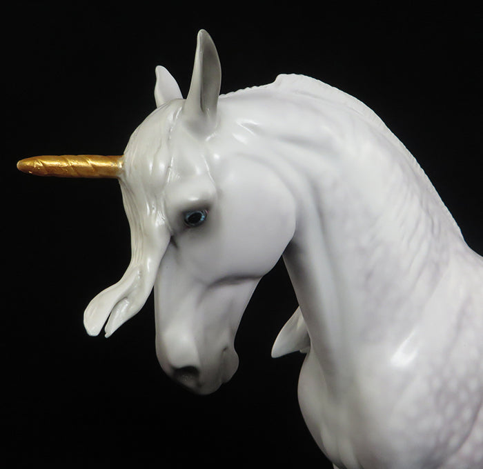 equilocity 2016 Prince Charming