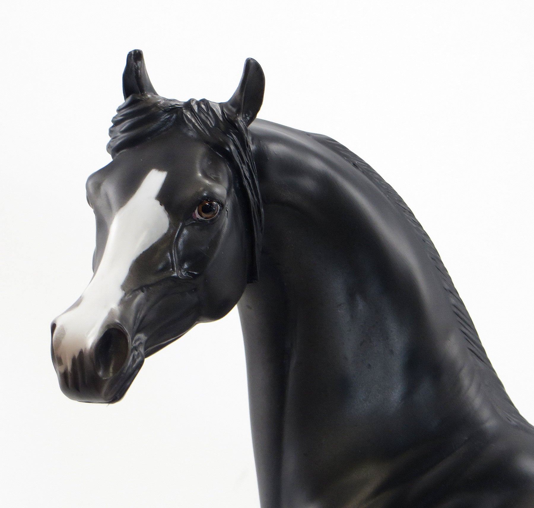 RINGLING BROTHERS - OOAK Dark Appaloosa Arabian Model Horse -  6/26