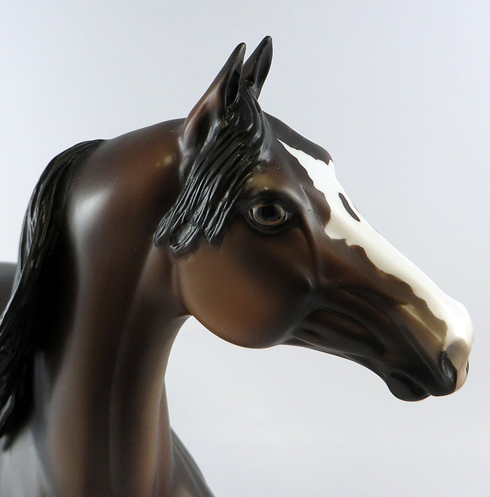 COLT 45-OOAK BAY MORGAN MODEL HORSE 10/5/16