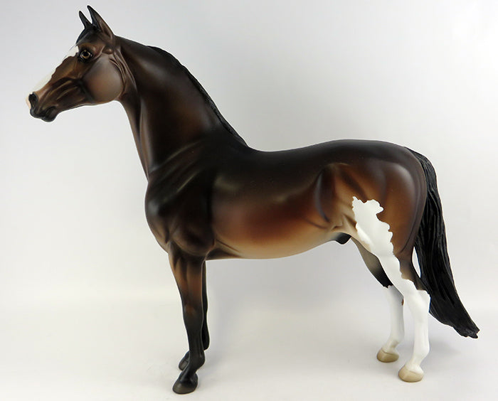 Morgan Horse