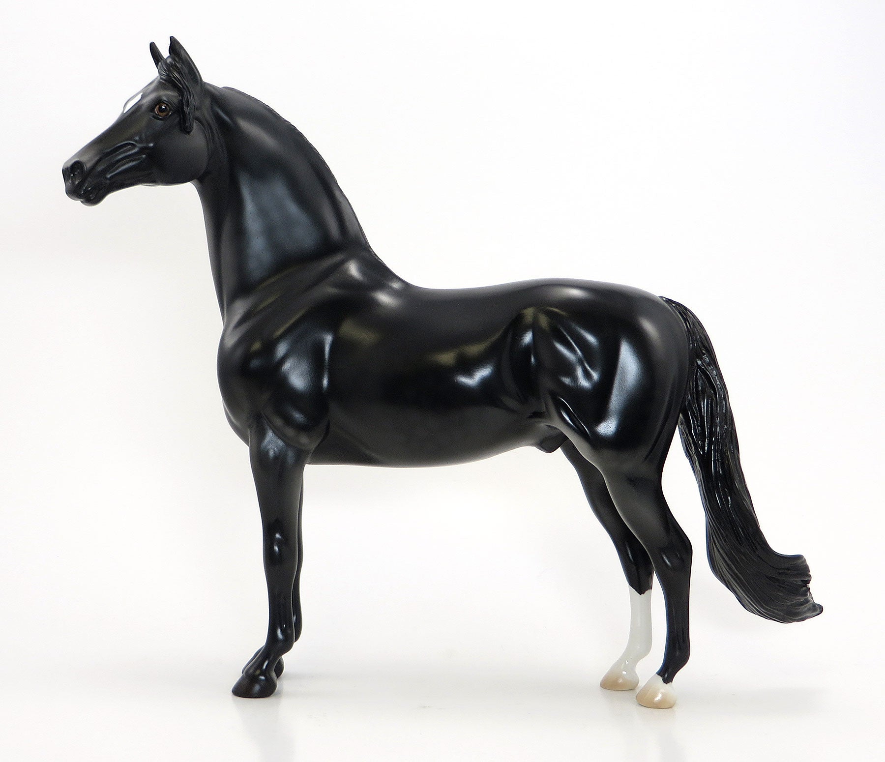 HARRY HOUDINI - OOAK Black Morgan Model Horse - 6/26