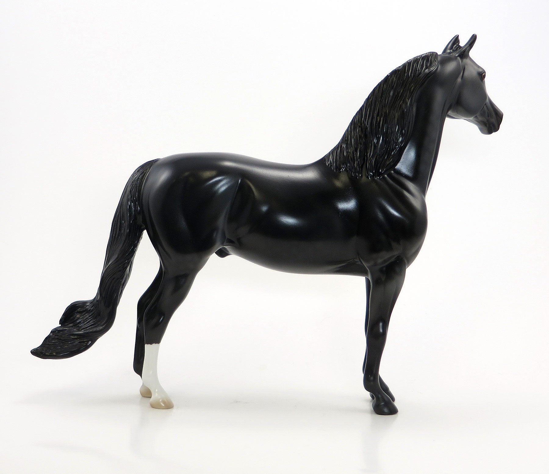 HARRY HOUDINI - OOAK Black Morgan Model Horse - 6/26