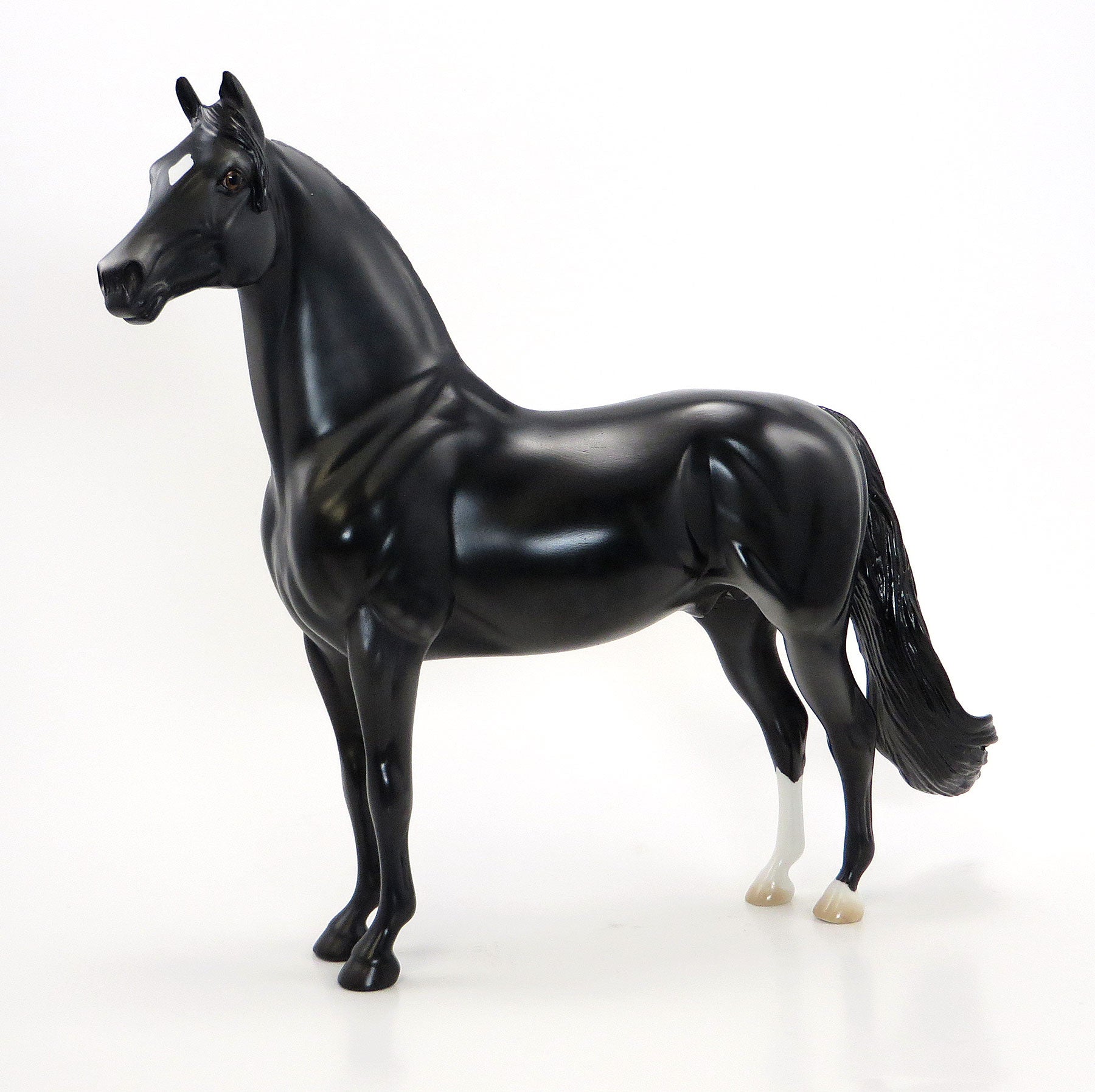 HARRY HOUDINI - OOAK Black Morgan Model Horse - 6/26