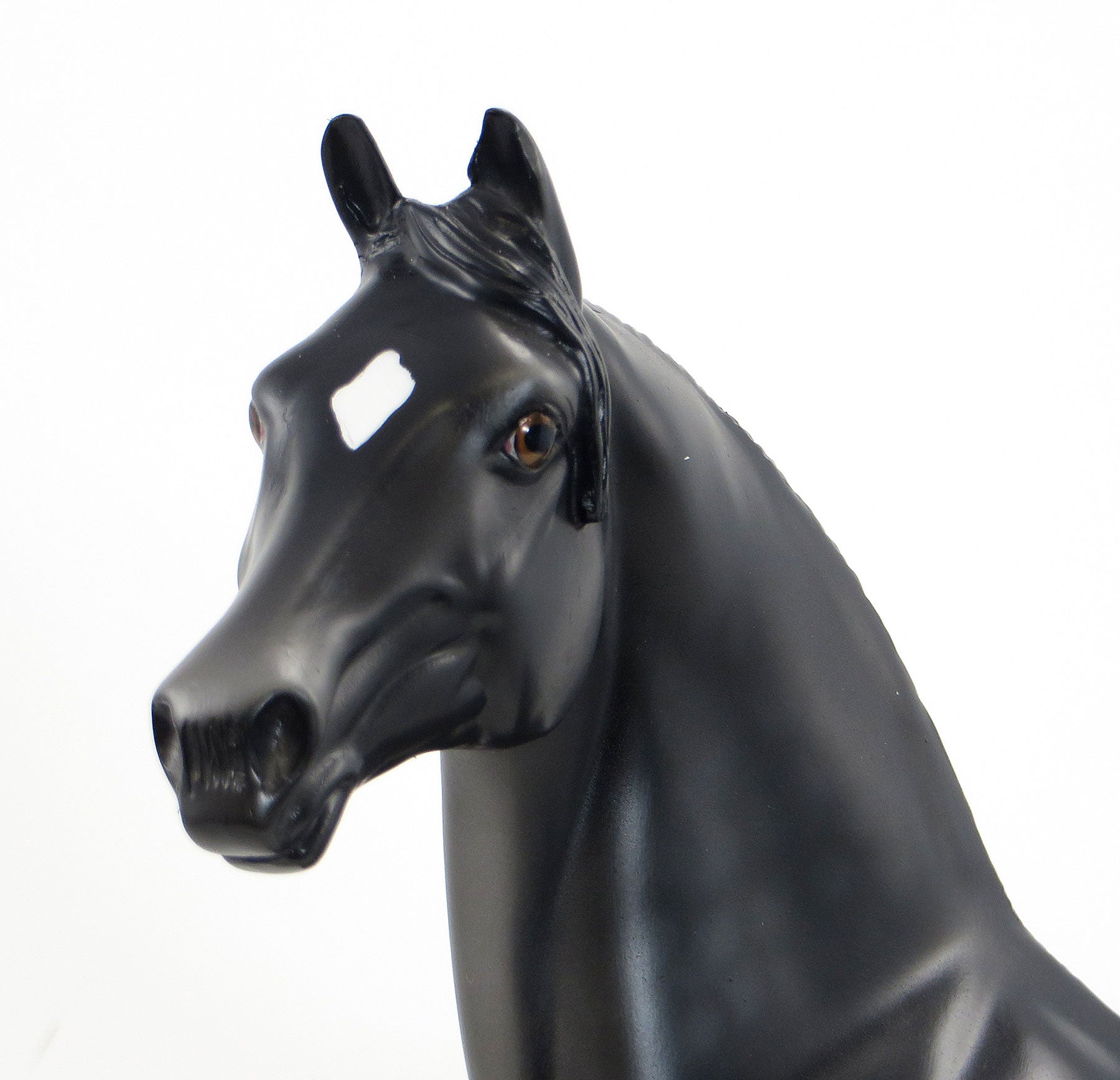 HARRY HOUDINI - OOAK Black Morgan Model Horse - 6/26