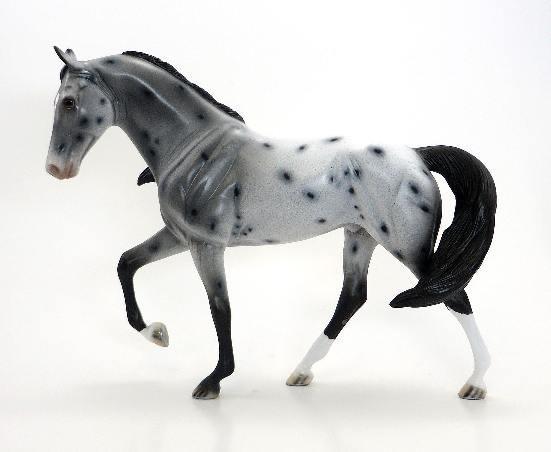 SHRINE CIRCUS- OOAK Grey Appaloosa Tennessee Walker 6/26