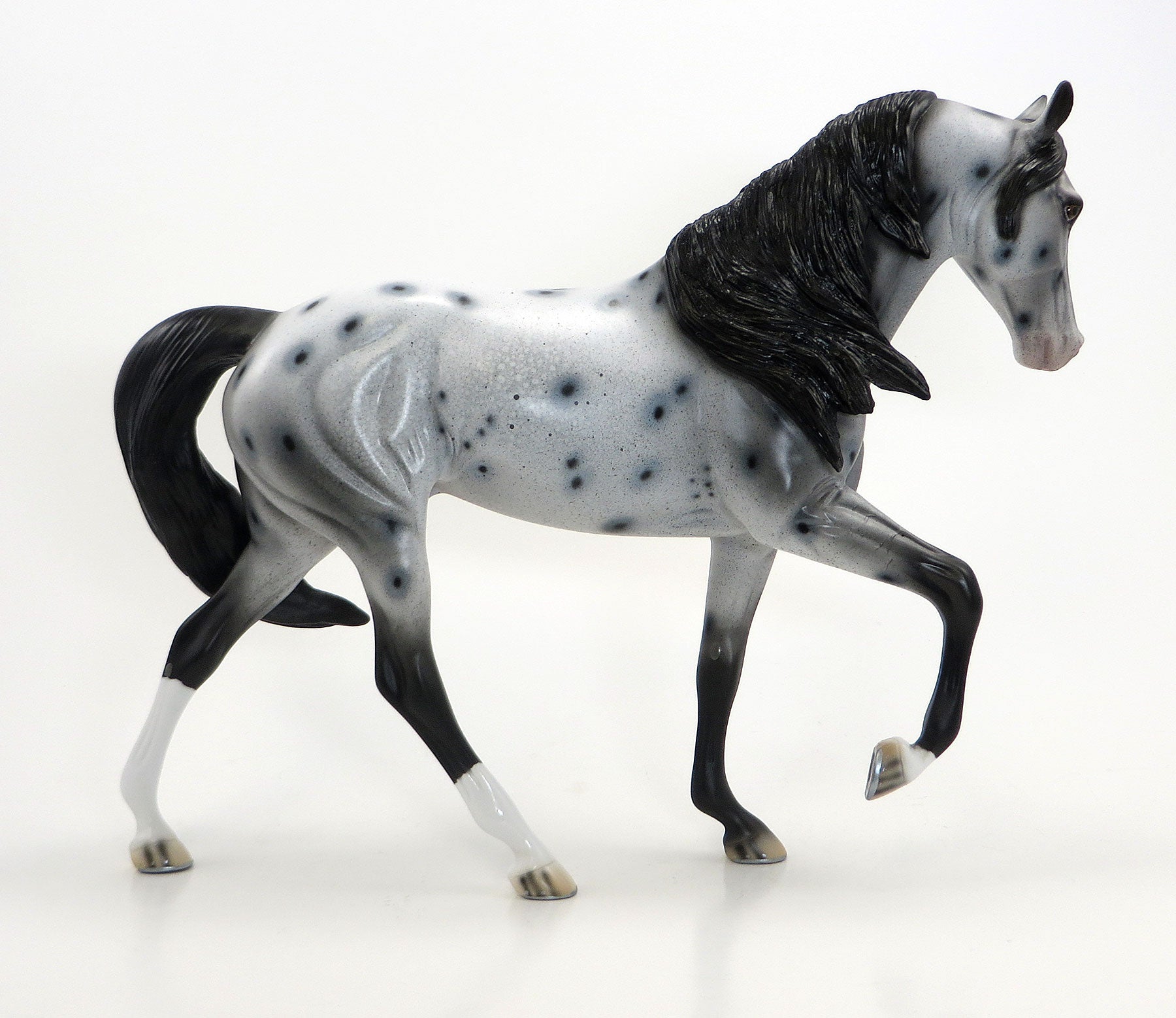 SHRINE CIRCUS- OOAK Grey Appaloosa Tennessee Walker 6/26