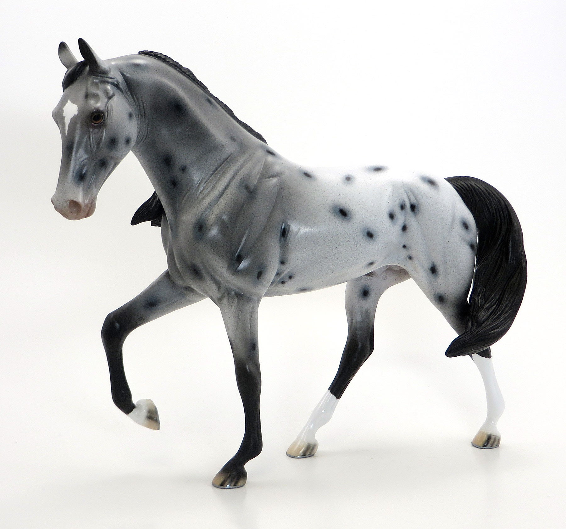 SHRINE CIRCUS- OOAK Grey Appaloosa Tennessee Walker 6/26