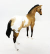 No Spot Appaloosa