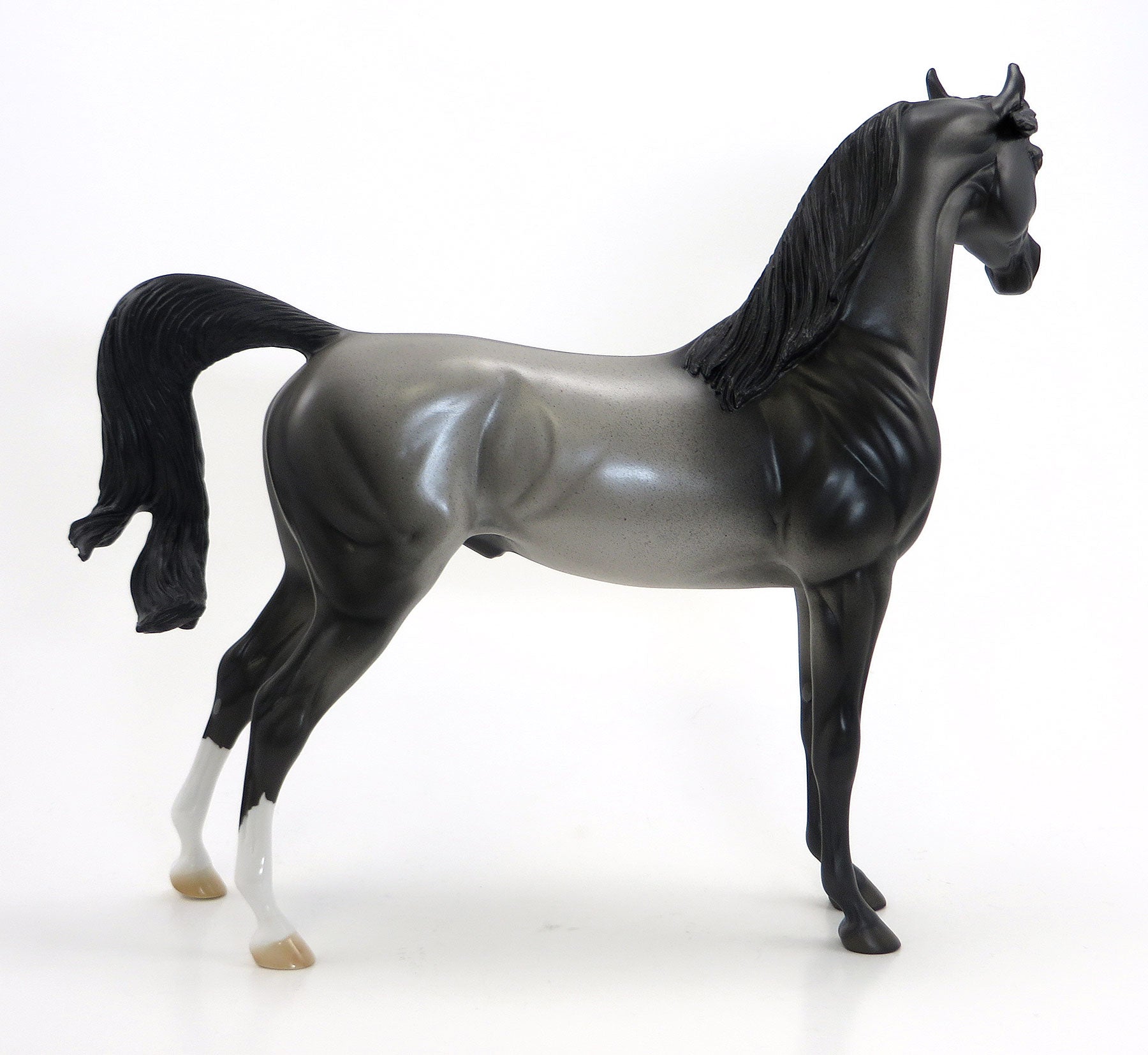 WALKING ON STILTS - OOAK Blue Roan Arabian 6/26