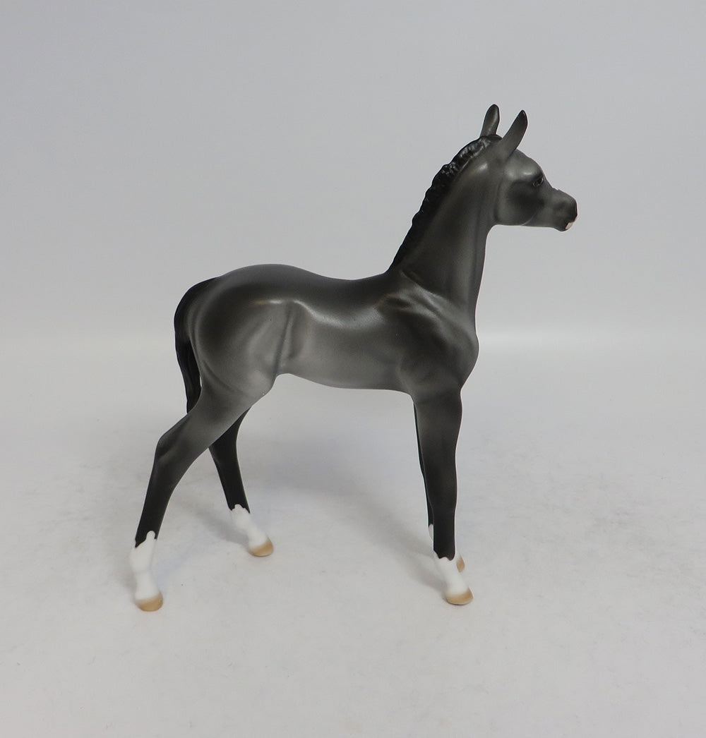 STORM CLOUD - OOAK GREY ARABIAN FOAL MODEL HORSE BY DAWN QUICK 4/4/2018