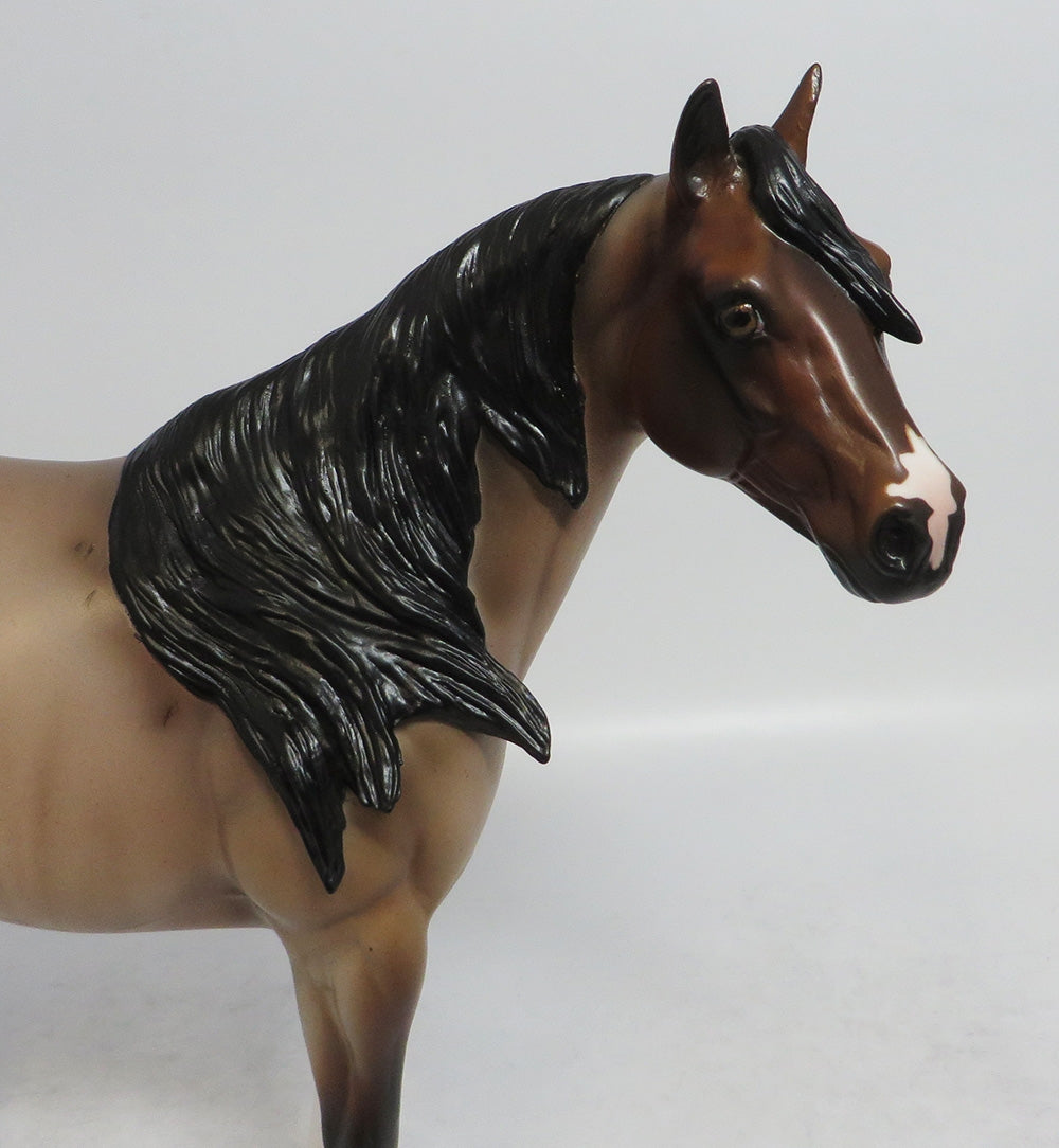 ROANOKE - LE7 BAY ROAN ISH MODEL HORSE EA2018