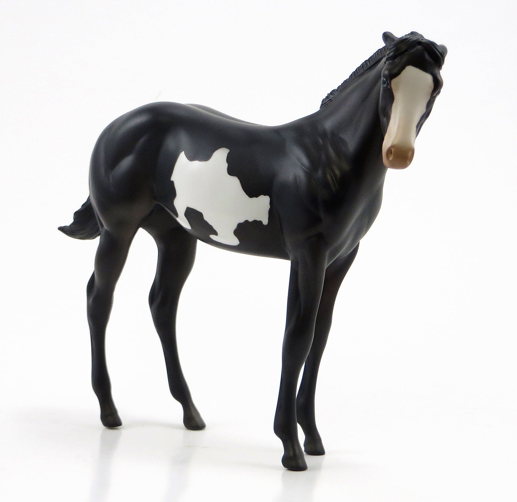 DOWN TOWN WAGON - OOAK Black Pinto Weanling Model Horse - 6/26