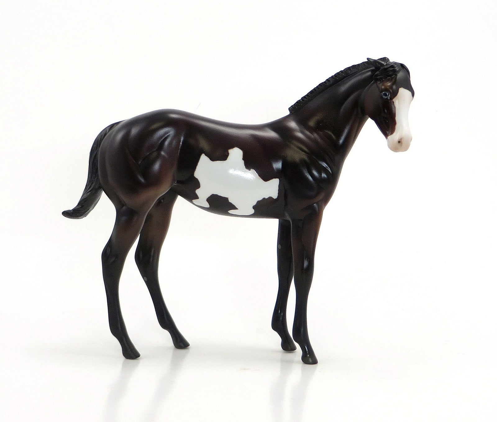 HIGH WIRE- OOAK Dark Bay Pinto Weanling 6/26