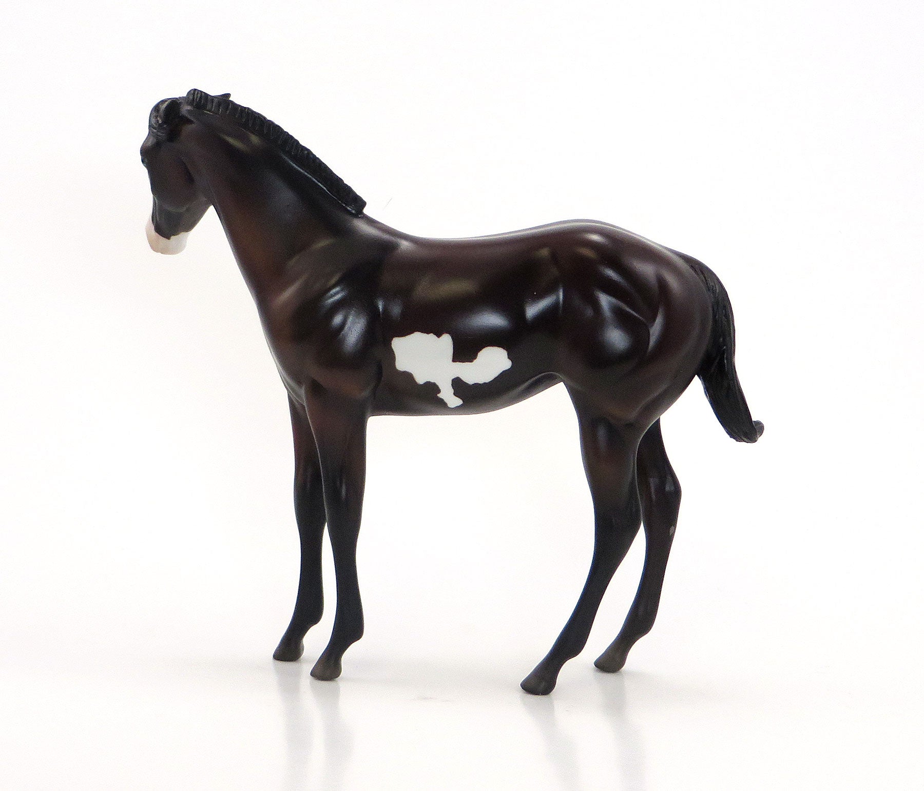 HIGH WIRE- OOAK Dark Bay Pinto Weanling 6/26