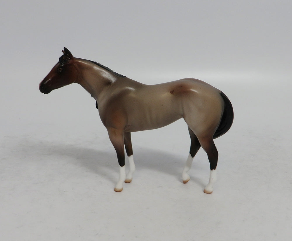 ROANOKE MINI ME - LE7 BAY ROAN STOCK CHIP EA2018