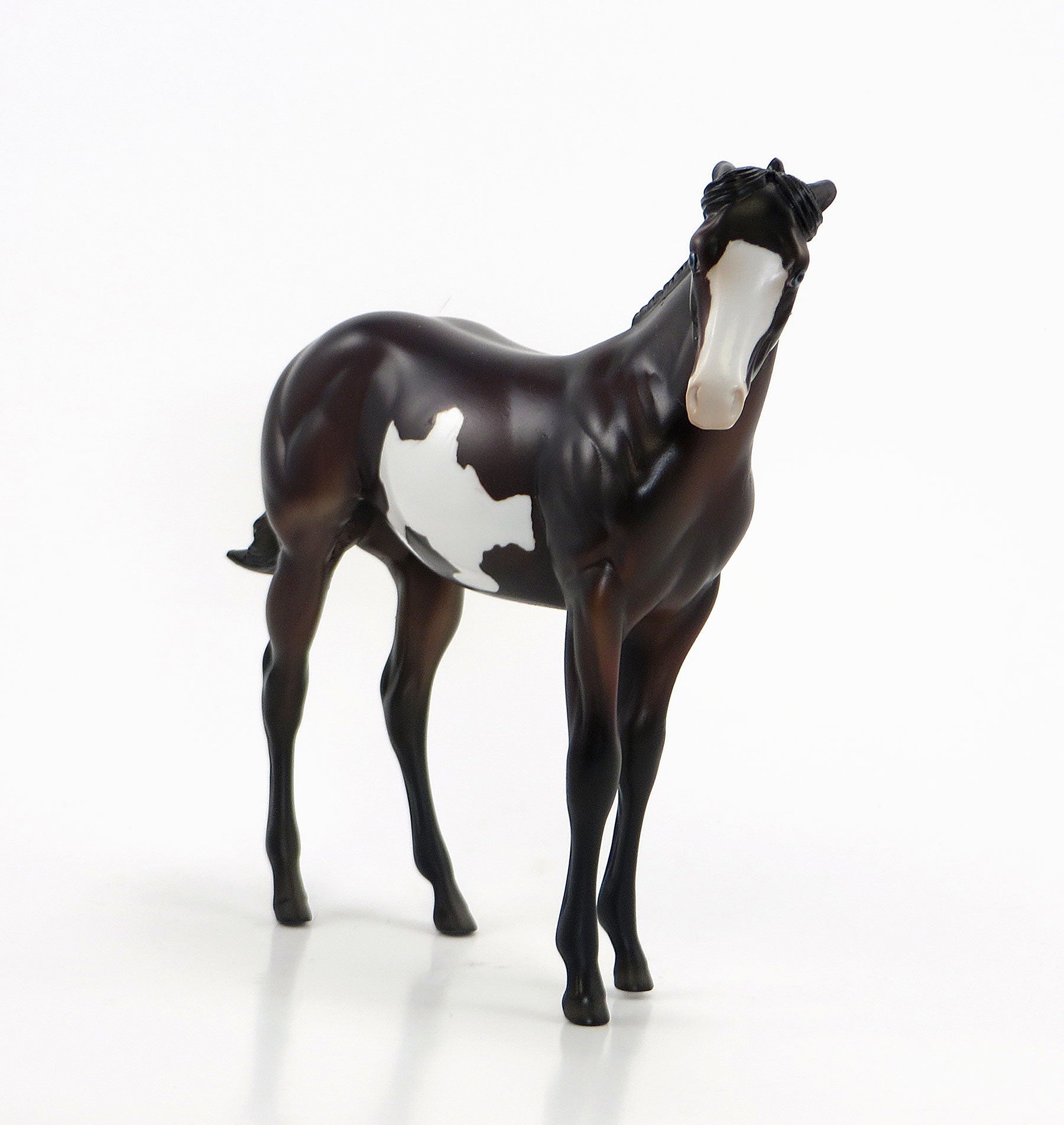 HIGH WIRE- OOAK Dark Bay Pinto Weanling 6/26