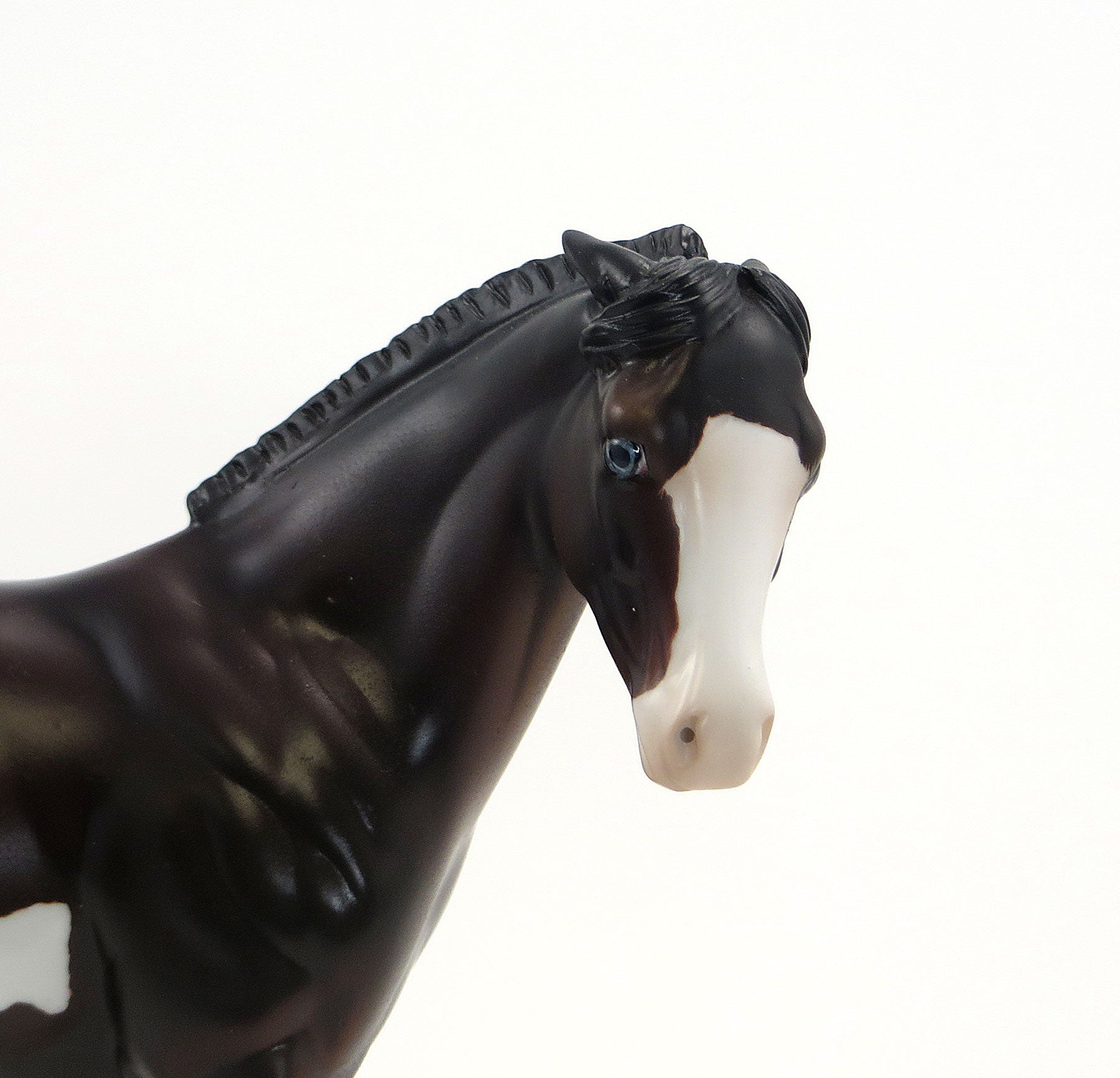 HIGH WIRE- OOAK Dark Bay Pinto Weanling 6/26