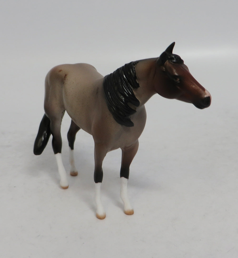 ROANOKE MINI ME - LE7 BAY ROAN STOCK CHIP EA2018