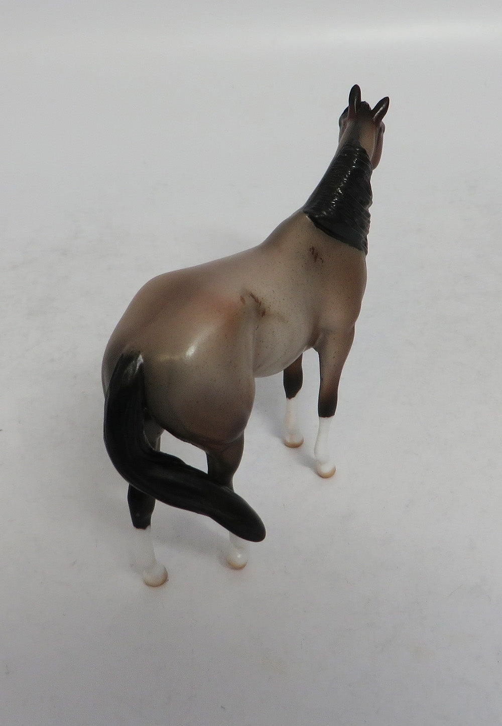 ROANOKE MINI ME - LE7 BAY ROAN STOCK CHIP EA2018