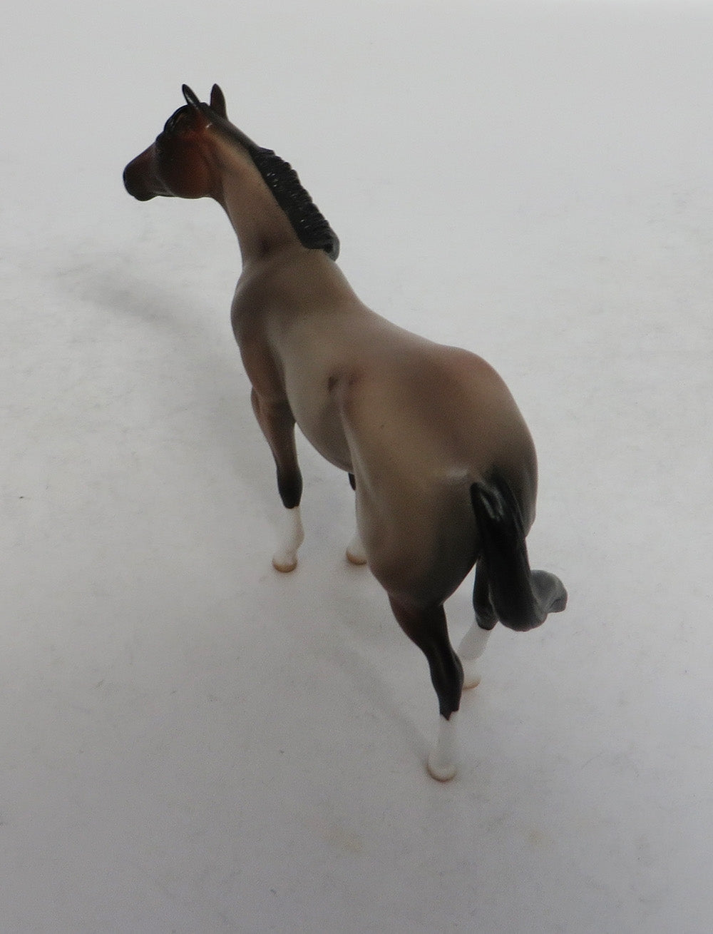 ROANOKE MINI ME - LE7 BAY ROAN STOCK CHIP EA2018