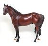 stallion