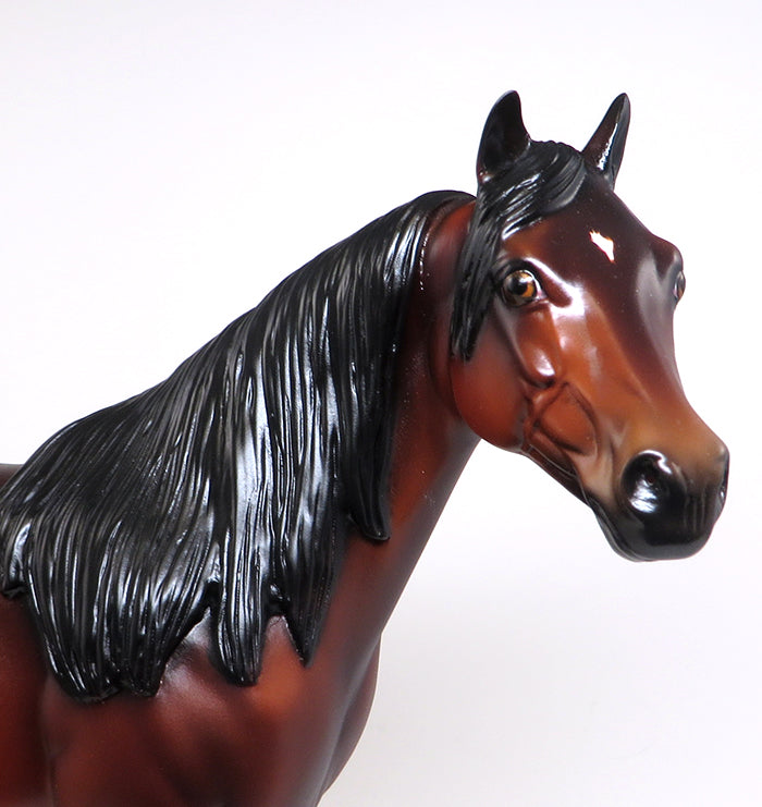 peter stone the invitation