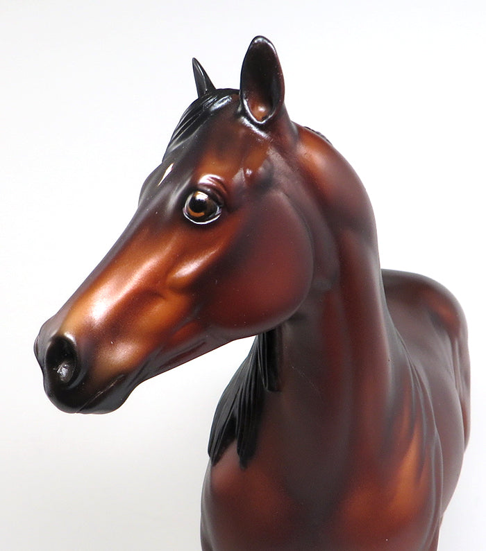 peter stone stallion the invitation