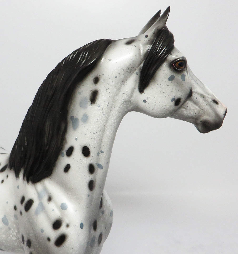 APPALOOSA